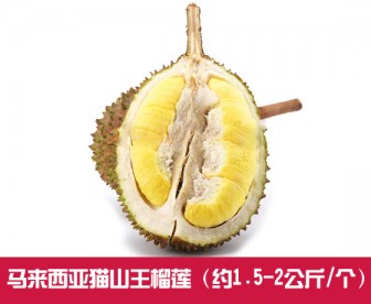 【直发中国】马来西亚猫山王榴莲 1个装(约1.5-2公斤) 【直发中国】马来西亚猫山王榴莲 1个装(约1.5-2公斤)